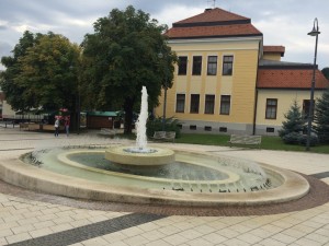 IMG_7548 (1024x768)