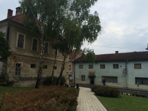IMG_7554 (1024x768)